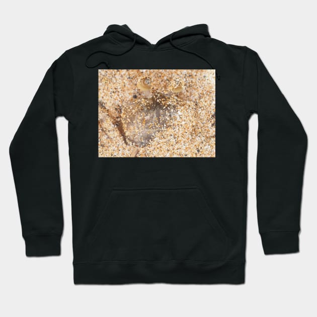 Small crab hiding in sand on Maui, Hawaii Hoodie by SDym Photography